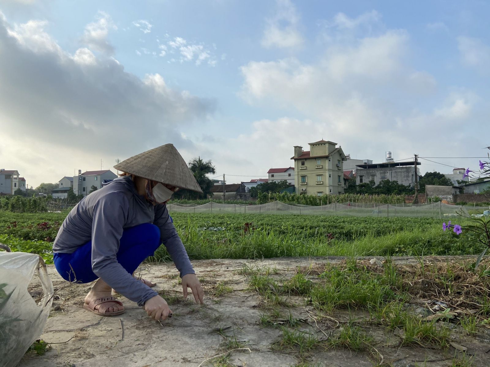 TRƯỜNG MẦM NON CỔ LOA CHUNG TAY QUYẾT TÂM PHÒNG CHỐNG DỊCH BỆNH COVID 19 VÀ TUYÊN TRUYỀN, HƯỞNG ỨNG CHO NGÀY BẦU CỬ CÁC CẤP NHIỆM KỲ 2021 – 2026.