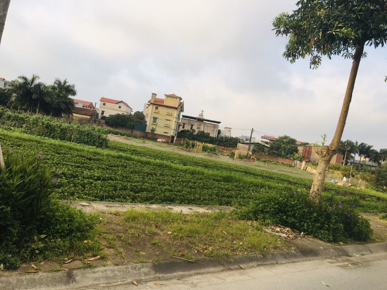 TRƯỜNG MẦM NON CỔ LOA CHUNG TAY QUYẾT TÂM PHÒNG CHỐNG DỊCH BỆNH COVID 19 VÀ TUYÊN TRUYỀN, HƯỞNG ỨNG CHO NGÀY BẦU CỬ CÁC CẤP NHIỆM KỲ 2021 – 2026.