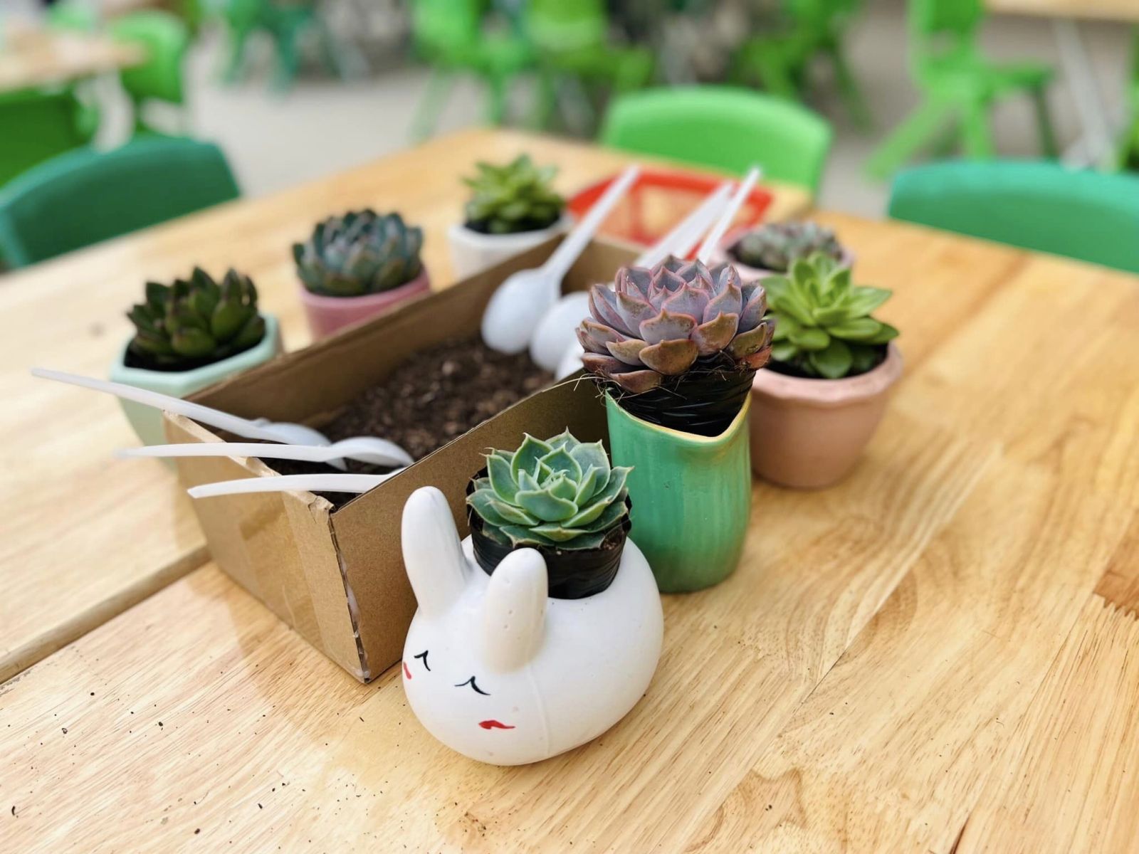 CHÀO MỪNG NGÀY PHỤ NỮ VIỆT NAM 20/10 VỚI HOẠT ĐỘNG TRẢI NGHIỆM: “MẦM CÂY YÊU THƯƠNG” TẠI TRƯỜNG MẦM NON CỔ LOA