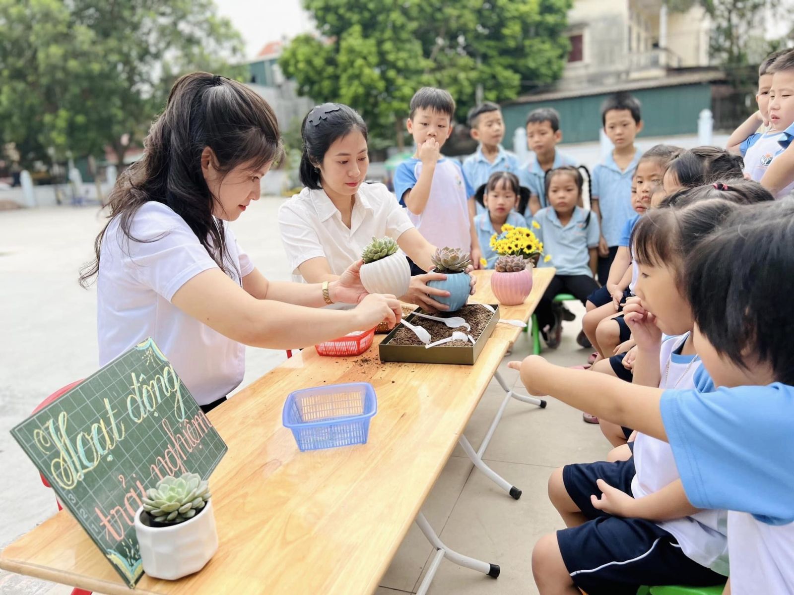 CHÀO MỪNG NGÀY PHỤ NỮ VIỆT NAM 20/10 VỚI HOẠT ĐỘNG TRẢI NGHIỆM: “MẦM CÂY YÊU THƯƠNG” TẠI TRƯỜNG MẦM NON CỔ LOA