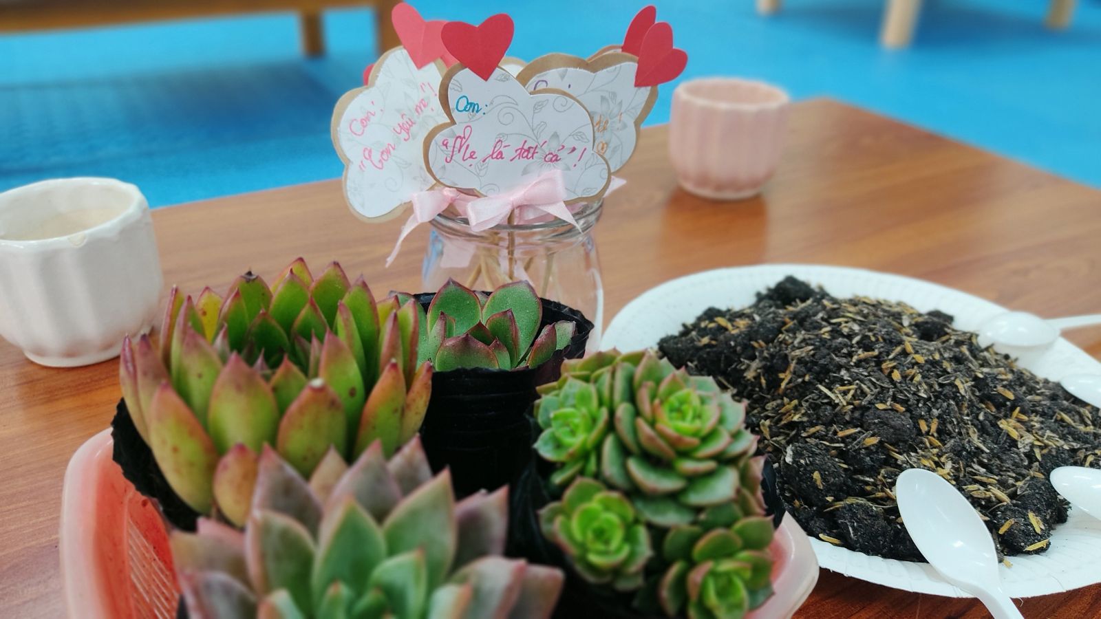 CHÀO MỪNG NGÀY PHỤ NỮ VIỆT NAM 20/10 VỚI HOẠT ĐỘNG TRẢI NGHIỆM: “MẦM CÂY YÊU THƯƠNG” TẠI TRƯỜNG MẦM NON CỔ LOA