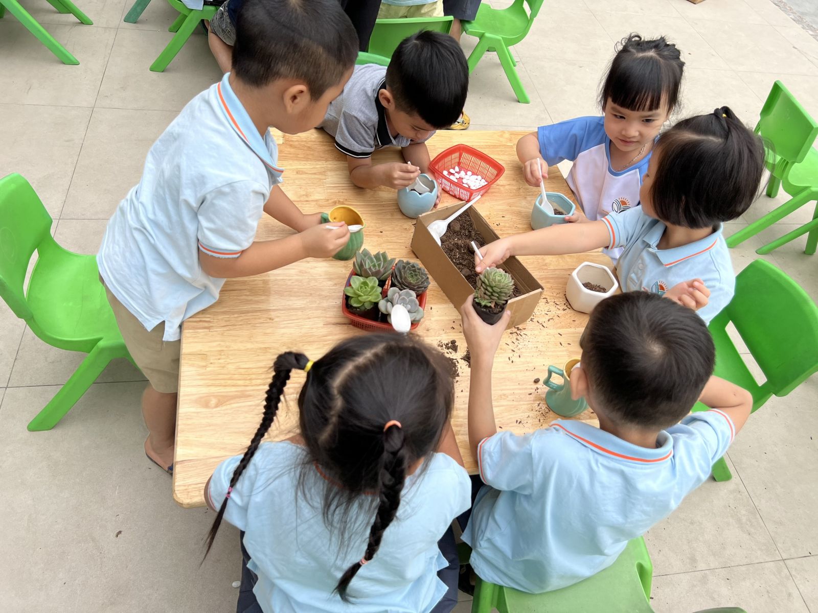 CHÀO MỪNG NGÀY PHỤ NỮ VIỆT NAM 20/10 VỚI HOẠT ĐỘNG TRẢI NGHIỆM: “MẦM CÂY YÊU THƯƠNG” TẠI TRƯỜNG MẦM NON CỔ LOA