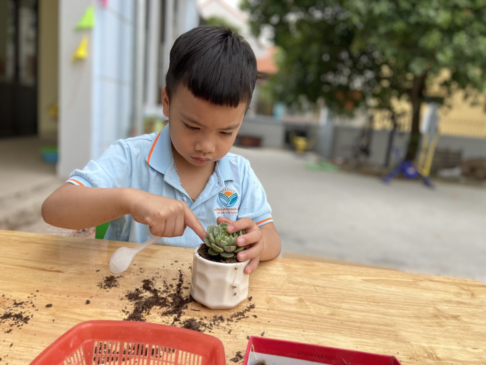 CHÀO MỪNG NGÀY PHỤ NỮ VIỆT NAM 20/10 VỚI HOẠT ĐỘNG TRẢI NGHIỆM: “MẦM CÂY YÊU THƯƠNG” TẠI TRƯỜNG MẦM NON CỔ LOA