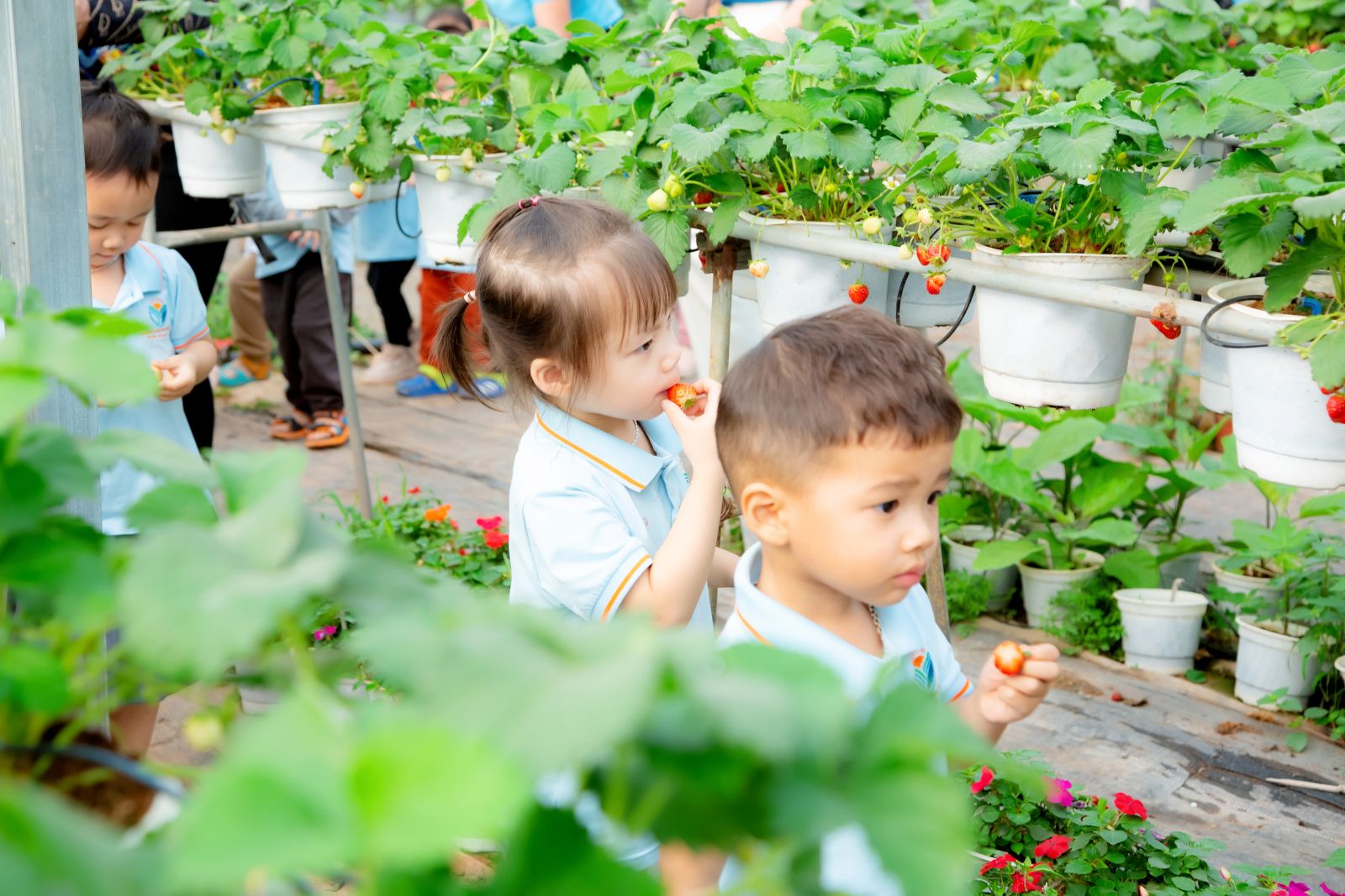 “HOẠT ĐỘNG TRẢI NGHIỆM THÚ VỊ VÀ BỔ ÍCH CỦA CÁC BẠN NHỎ KHỐI NHÀ TRẺ VÀ KHỐI MẪU GIÁO BÉ TRƯỜNG MẦM NON CỔ LOA”