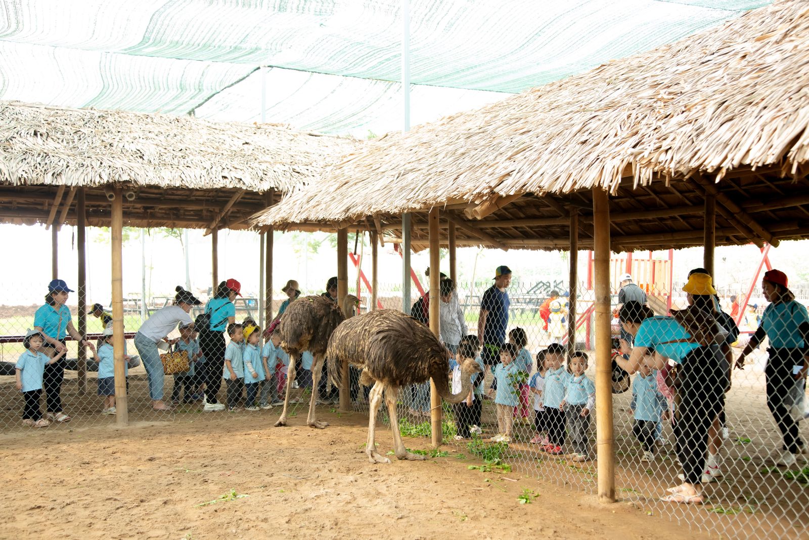 “HOẠT ĐỘNG TRẢI NGHIỆM THÚ VỊ VÀ BỔ ÍCH CỦA CÁC BẠN NHỎ KHỐI NHÀ TRẺ VÀ KHỐI MẪU GIÁO BÉ TRƯỜNG MẦM NON CỔ LOA”