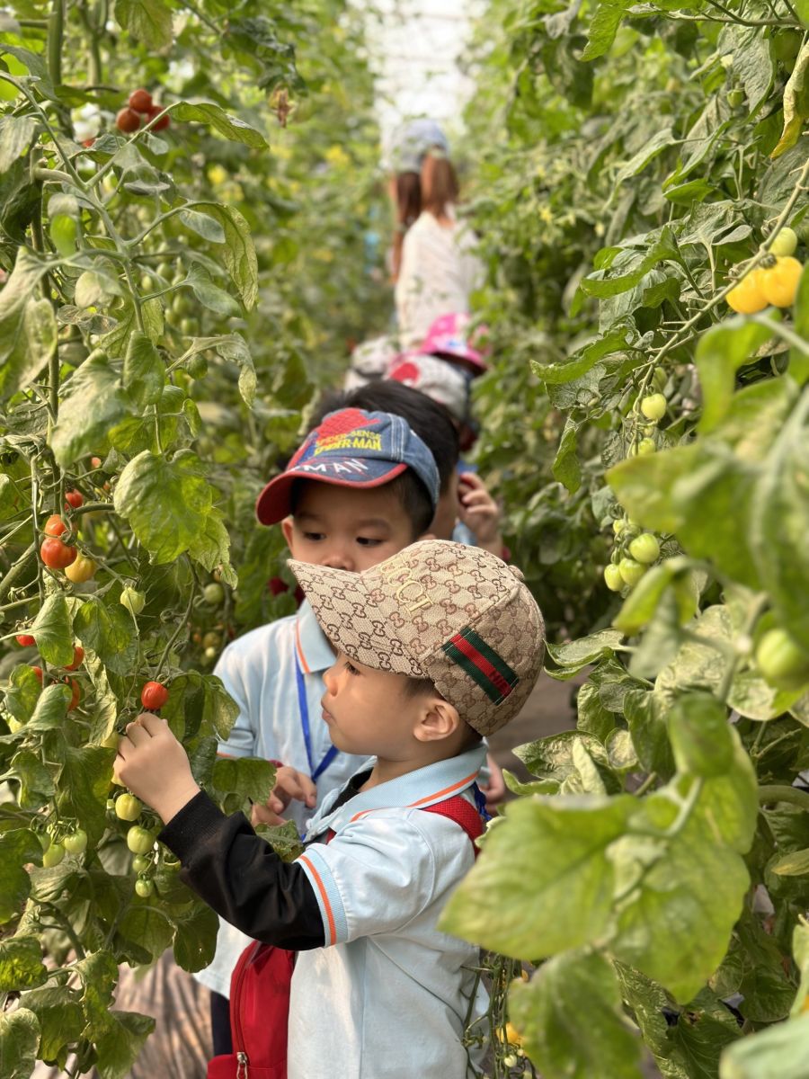 “HOẠT ĐỘNG TRẢI NGHIỆM THÚ VỊ VÀ BỔ ÍCH CỦA CÁC BẠN NHỎ KHỐI NHÀ TRẺ VÀ KHỐI MẪU GIÁO BÉ TRƯỜNG MẦM NON CỔ LOA”