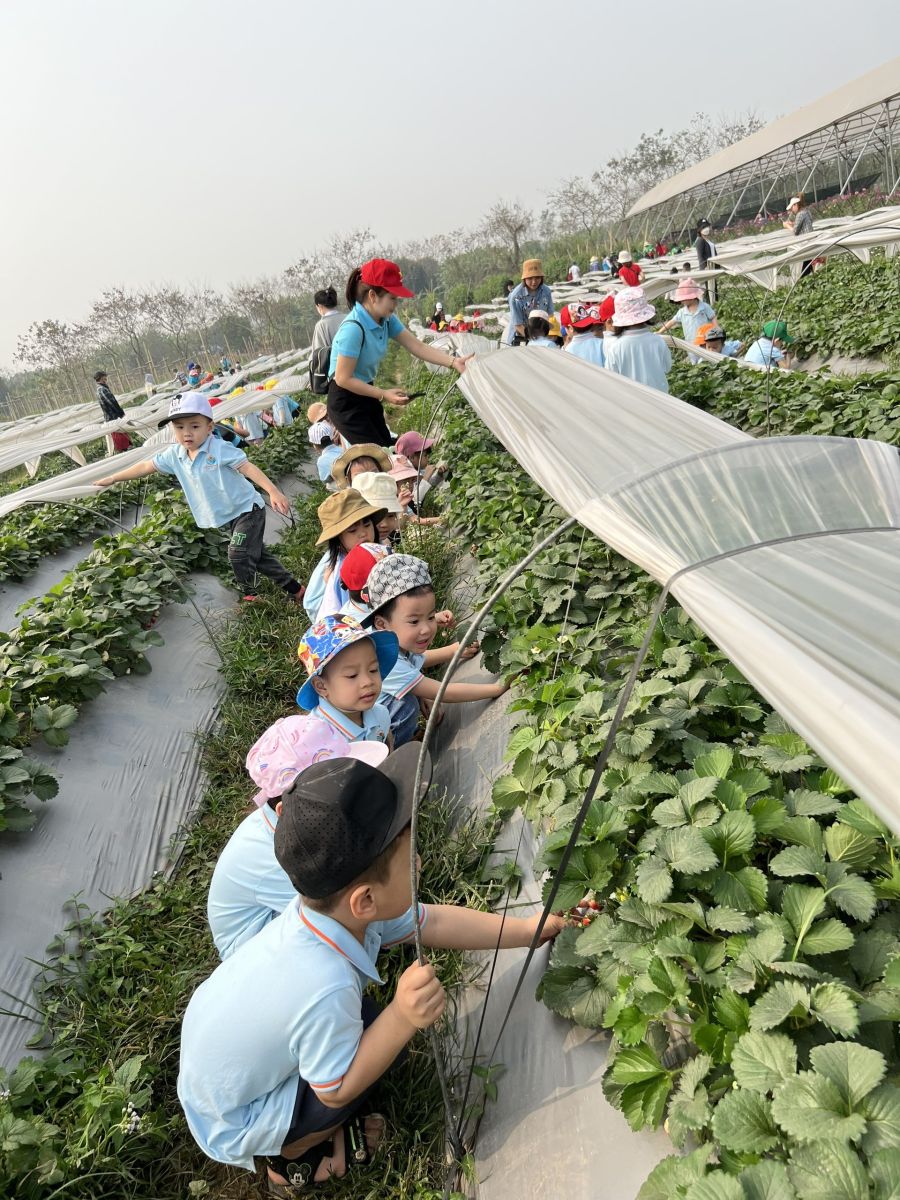 “HOẠT ĐỘNG TRẢI NGHIỆM THÚ VỊ VÀ BỔ ÍCH CỦA CÁC BẠN NHỎ KHỐI NHÀ TRẺ VÀ KHỐI MẪU GIÁO BÉ TRƯỜNG MẦM NON CỔ LOA”