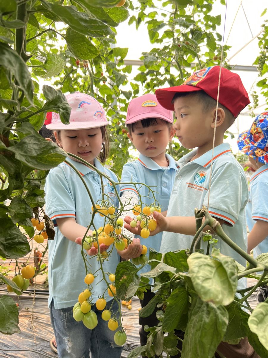 “HOẠT ĐỘNG TRẢI NGHIỆM THÚ VỊ VÀ BỔ ÍCH CỦA CÁC BẠN NHỎ KHỐI NHÀ TRẺ VÀ KHỐI MẪU GIÁO BÉ TRƯỜNG MẦM NON CỔ LOA”