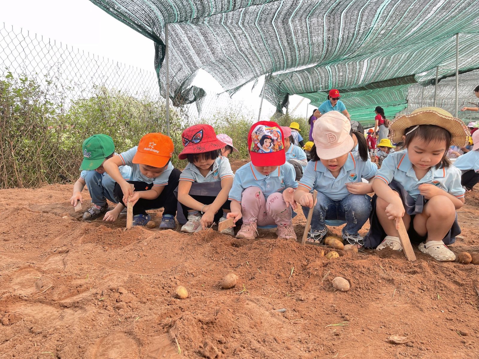 “HOẠT ĐỘNG TRẢI NGHIỆM THÚ VỊ VÀ BỔ ÍCH CỦA CÁC BẠN NHỎ KHỐI NHÀ TRẺ VÀ KHỐI MẪU GIÁO BÉ TRƯỜNG MẦM NON CỔ LOA”