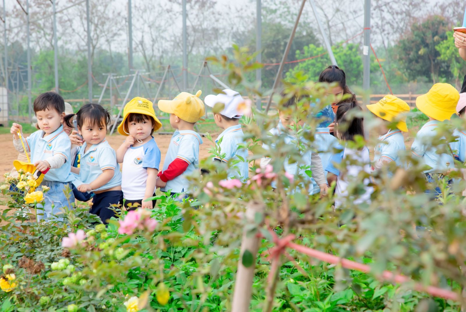 “HOẠT ĐỘNG TRẢI NGHIỆM THÚ VỊ VÀ BỔ ÍCH CỦA CÁC BẠN NHỎ KHỐI NHÀ TRẺ VÀ KHỐI MẪU GIÁO BÉ TRƯỜNG MẦM NON CỔ LOA”