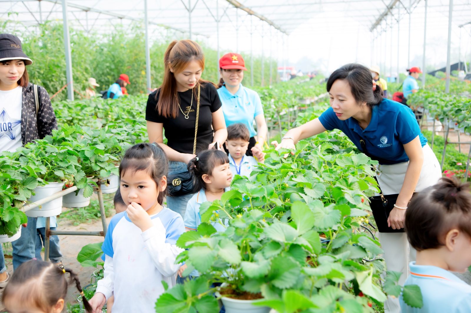 “HOẠT ĐỘNG TRẢI NGHIỆM THÚ VỊ VÀ BỔ ÍCH CỦA CÁC BẠN NHỎ KHỐI NHÀ TRẺ VÀ KHỐI MẪU GIÁO BÉ TRƯỜNG MẦM NON CỔ LOA”