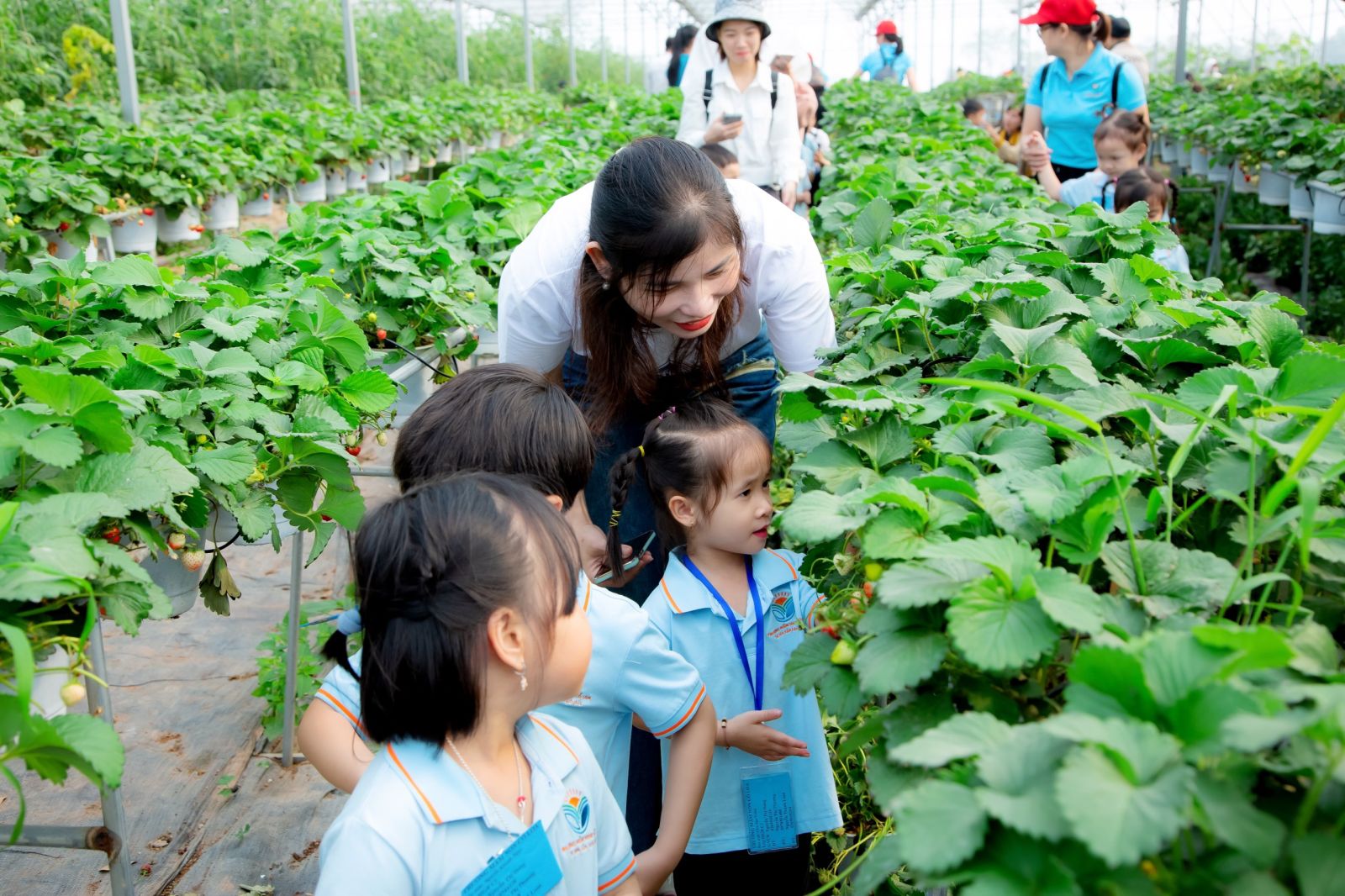 “HOẠT ĐỘNG TRẢI NGHIỆM THÚ VỊ VÀ BỔ ÍCH CỦA CÁC BẠN NHỎ KHỐI NHÀ TRẺ VÀ KHỐI MẪU GIÁO BÉ TRƯỜNG MẦM NON CỔ LOA”