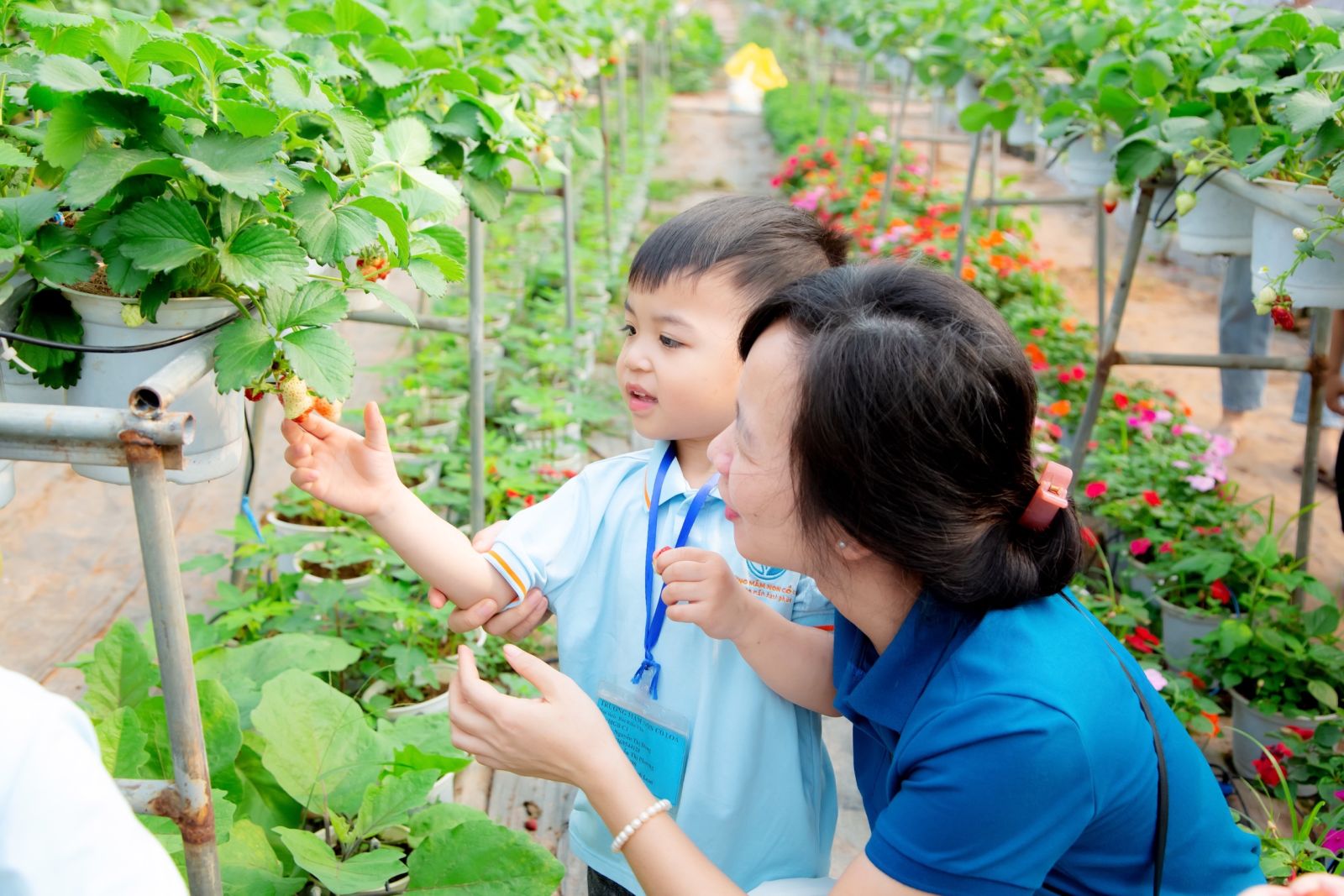 “HOẠT ĐỘNG TRẢI NGHIỆM THÚ VỊ VÀ BỔ ÍCH CỦA CÁC BẠN NHỎ KHỐI NHÀ TRẺ VÀ KHỐI MẪU GIÁO BÉ TRƯỜNG MẦM NON CỔ LOA”