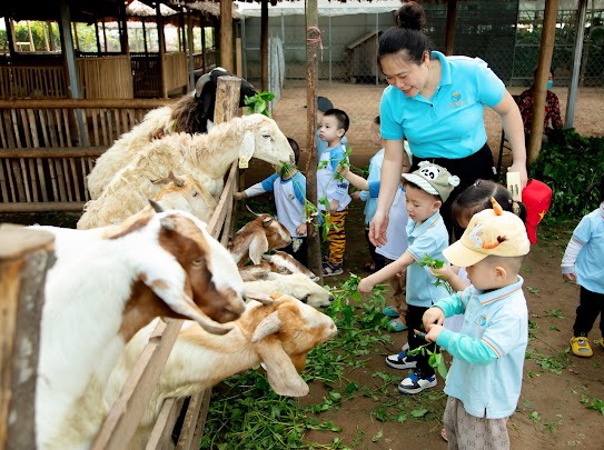“HOẠT ĐỘNG TRẢI NGHIỆM THÚ VỊ VÀ BỔ ÍCH CỦA CÁC BẠN NHỎ KHỐI NHÀ TRẺ VÀ KHỐI MẪU GIÁO BÉ TRƯỜNG MẦM NON CỔ LOA”