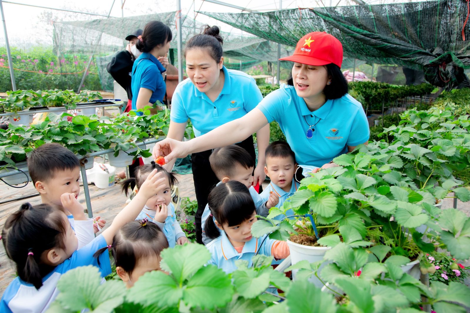 “HOẠT ĐỘNG TRẢI NGHIỆM THÚ VỊ VÀ BỔ ÍCH CỦA CÁC BẠN NHỎ KHỐI NHÀ TRẺ VÀ KHỐI MẪU GIÁO BÉ TRƯỜNG MẦM NON CỔ LOA”