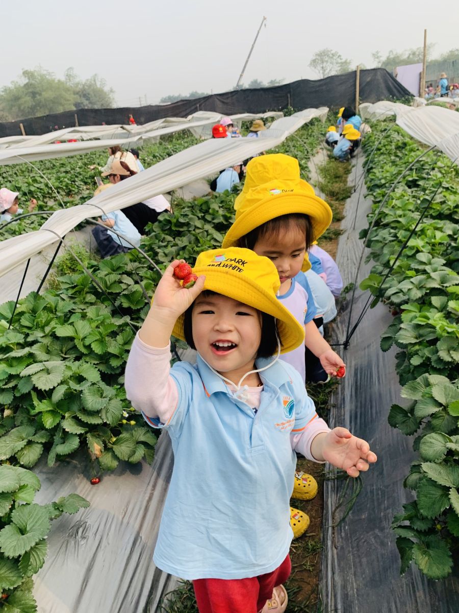 “HOẠT ĐỘNG TRẢI NGHIỆM THÚ VỊ VÀ BỔ ÍCH CỦA CÁC BẠN NHỎ KHỐI NHÀ TRẺ VÀ KHỐI MẪU GIÁO BÉ TRƯỜNG MẦM NON CỔ LOA”