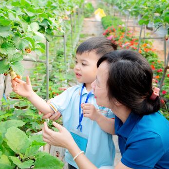“HOẠT ĐỘNG TRẢI NGHIỆM THÚ VỊ VÀ BỔ ÍCH CỦA CÁC BẠN NHỎ KHỐI NHÀ TRẺ VÀ KHỐI MẪU GIÁO BÉ TRƯỜNG MẦM NON CỔ LOA”