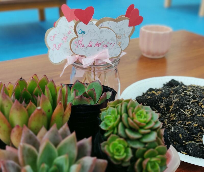 CHÀO MỪNG NGÀY PHỤ NỮ VIỆT NAM 20/10 VỚI HOẠT ĐỘNG TRẢI NGHIỆM: “MẦM CÂY YÊU THƯƠNG” TẠI TRƯỜNG MẦM NON CỔ LOA