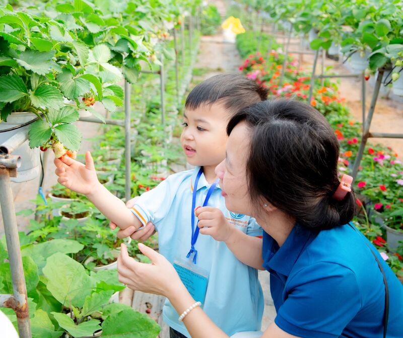 “HOẠT ĐỘNG TRẢI NGHIỆM THÚ VỊ VÀ BỔ ÍCH CỦA CÁC BẠN NHỎ KHỐI NHÀ TRẺ VÀ KHỐI MẪU GIÁO BÉ TRƯỜNG MẦM NON CỔ LOA”