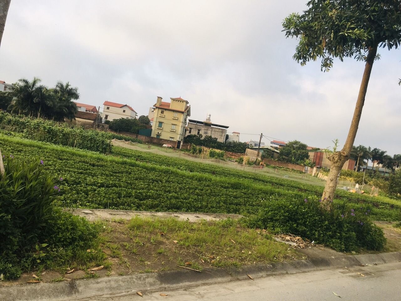 TRƯỜNG MẦM NON CỔ LOA CHUNG TAY QUYẾT TÂM PHÒNG CHỐNG DỊCH BỆNH COVID 19 VÀ TUYÊN TRUYỀN, HƯỞNG ỨNG CHO NGÀY BẦU CỬ CÁC CẤP NHIỆM KỲ 2021 – 2026.
