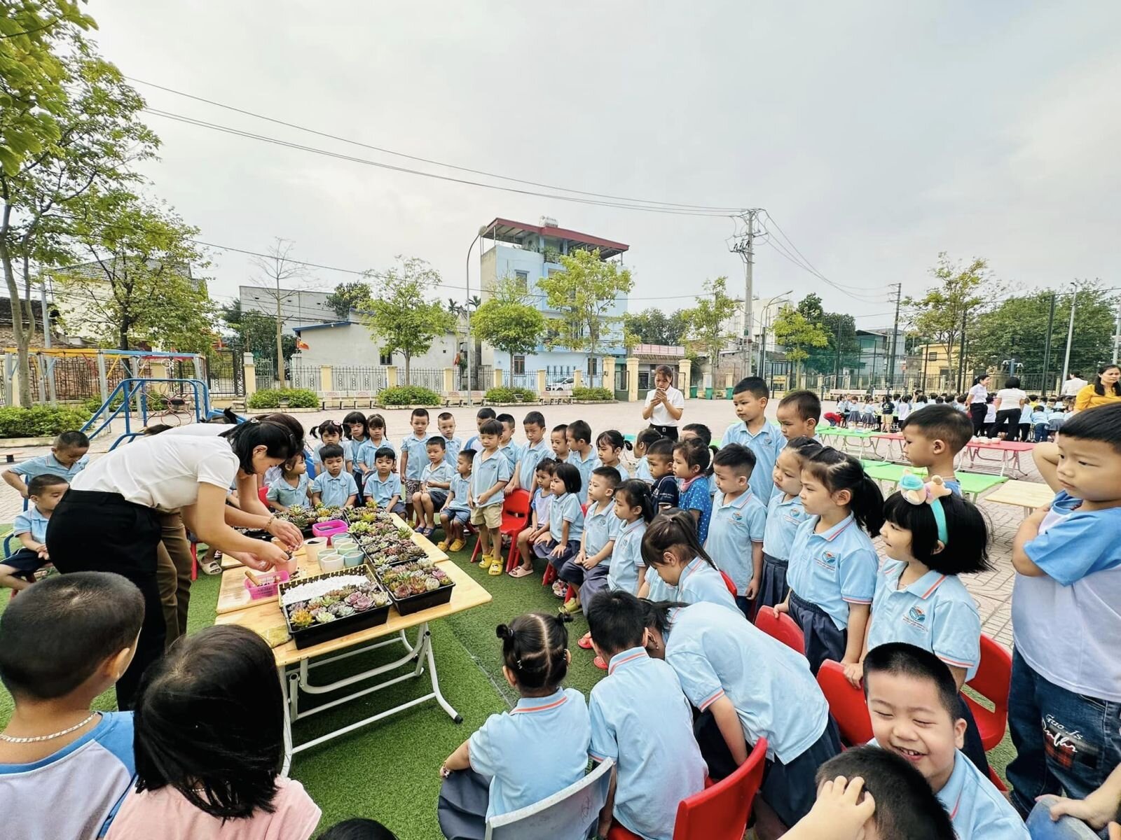 CHÀO MỪNG NGÀY PHỤ NỮ VIỆT NAM 20/10 VỚI HOẠT ĐỘNG TRẢI NGHIỆM: “MẦM CÂY YÊU THƯƠNG” TẠI TRƯỜNG MẦM NON CỔ LOA