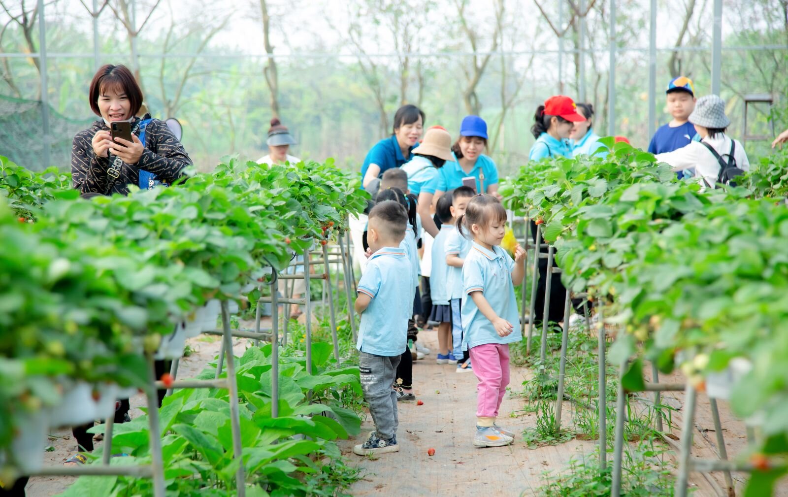 “HOẠT ĐỘNG TRẢI NGHIỆM THÚ VỊ VÀ BỔ ÍCH CỦA CÁC BẠN NHỎ KHỐI NHÀ TRẺ VÀ KHỐI MẪU GIÁO BÉ TRƯỜNG MẦM NON CỔ LOA”