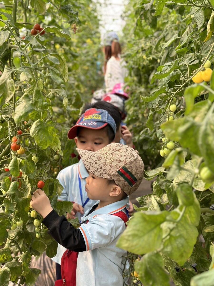 “HOẠT ĐỘNG TRẢI NGHIỆM THÚ VỊ VÀ BỔ ÍCH CỦA CÁC BẠN NHỎ KHỐI NHÀ TRẺ VÀ KHỐI MẪU GIÁO BÉ TRƯỜNG MẦM NON CỔ LOA”